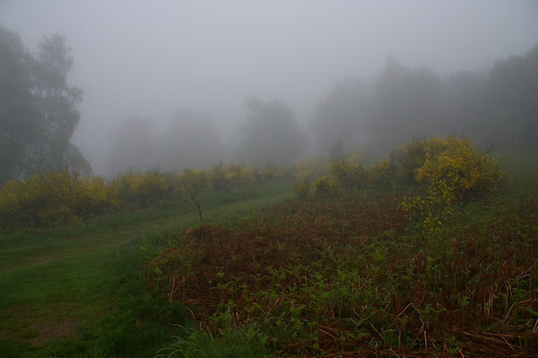 Des jeunets dans le brouillard au Col de la Serre