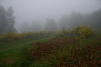 Des jeunets dans le brouillard au Col de la Serre