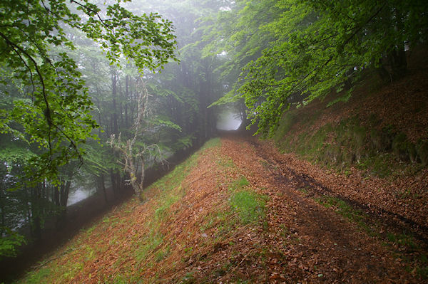 Le chemin bouillardeux sous le Cap des Trois Termes