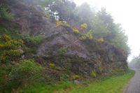 La route borde de jeunets sous le Pic de Jouels