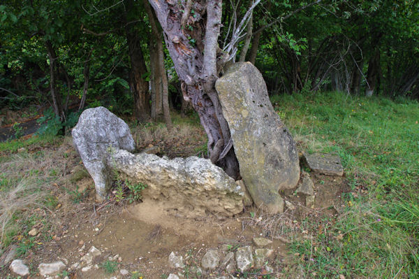 Le dolmen de Tres Peyros