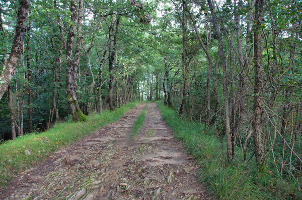 Le chemin  Hajaou