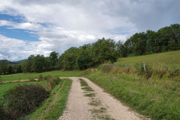 Le chemin vers Guillerie
