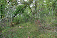 Monte sur le flanc Ouest du Montpeyrous