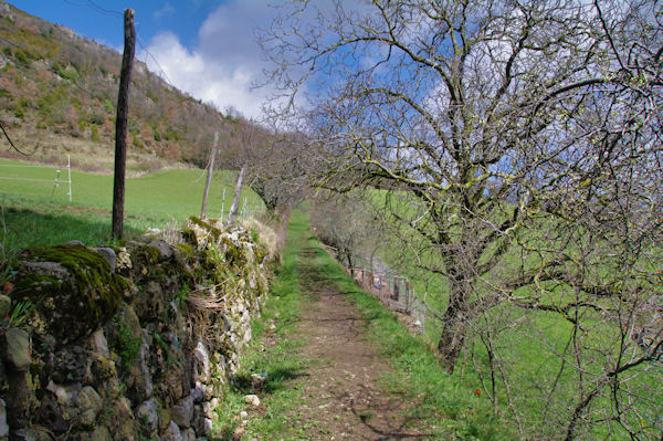 Le joli chemin remontant de Caraybat  Sarrot