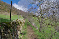 Le joli chemin remontant de Caraybat a Sarrot