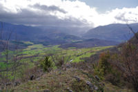 Belle verdure de printemps a La Plaine