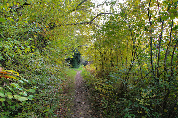 Le sentier entre Dreuilhe et Lavelanet