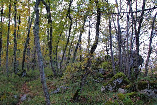 Sur les crtes de Soula de Bensa