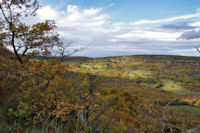 Le vallon du ruisseau de la Gaillasse