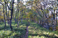 Le sentier  la Soula de Raissac