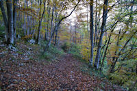 Le sentier descendant a Tarthie