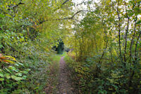 Le sentier entre Dreuilhe et Lavelanet