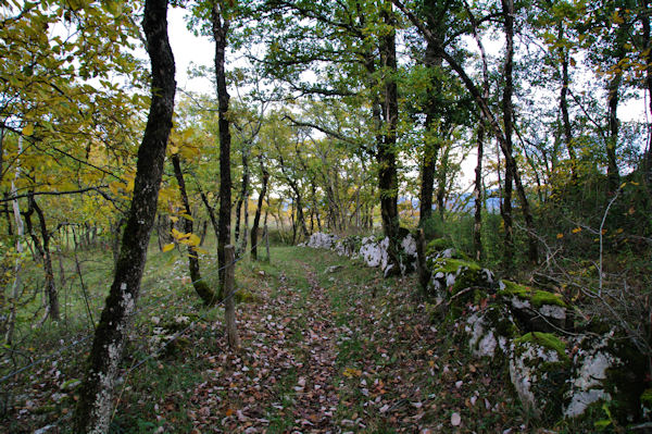 Le chemin vers l_Oustalet