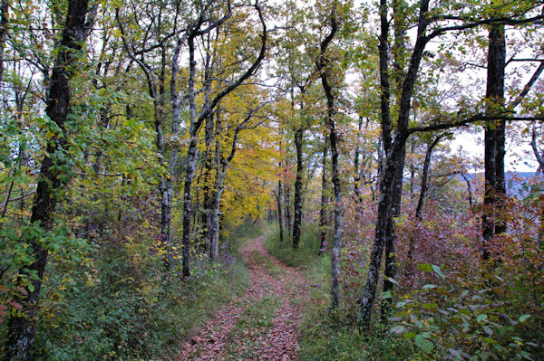 Le chemin sur les crtes de Coulassou