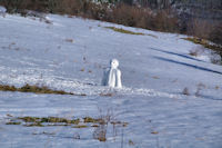 Le gardien du lieu