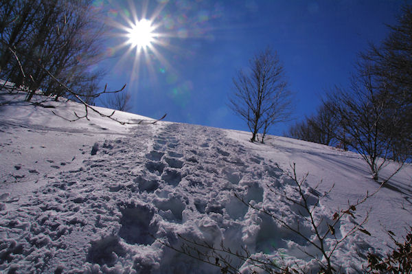 En arrivant au col de Matalis