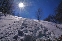 En arrivant au col de Matalis