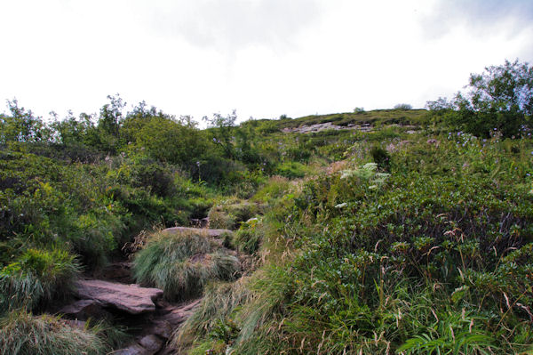 La monte raide  la Dent d_Orlu