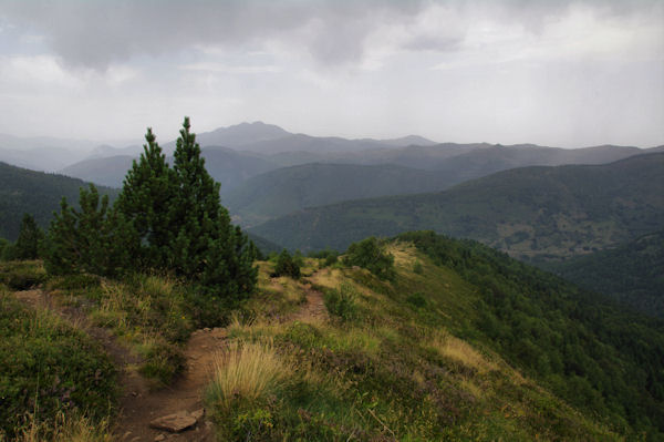 Le Sarrat de la Llau