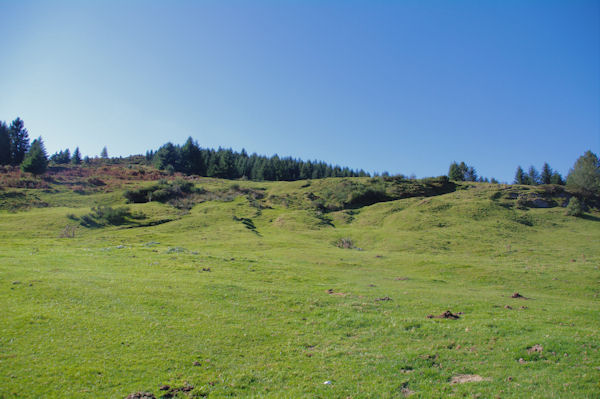 Les pelouses au Col de Port