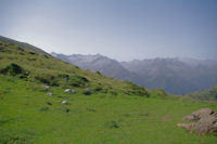 Pyrenees Ariegeoises