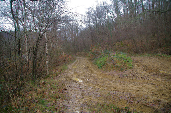 Dbardage et dfonage de chemin