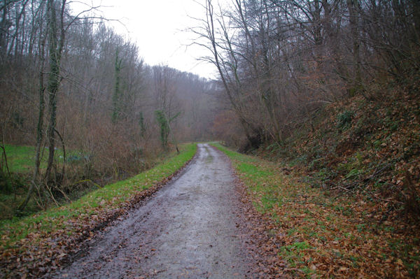 Dans la vlle de la Lze