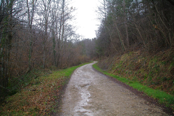 Dans le vallon du Paycherot