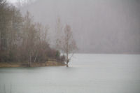 Pluie d_hiver sur le Lac de Mondely