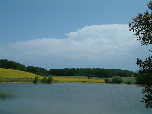 Le Lac Montbel et tournesols vers Les Baylards