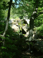 Une cascade prs du lac des Monts d'Olmes