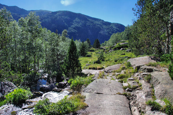 La valle infrieure du Riutort