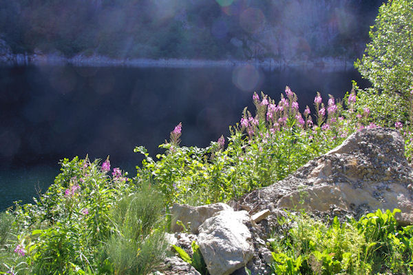 Sur l_Etang du Laparan