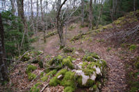 Le chemin en descendant sous le Pic Marot