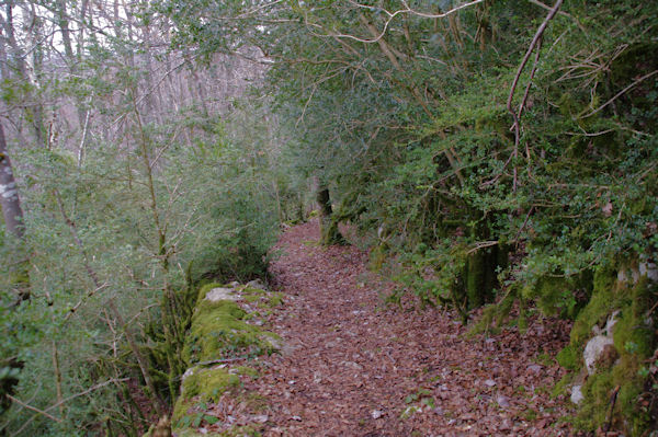 Le chemin en descendant sous le Pic Marot