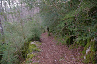 Le chemin en descendant sous le Pic Marot