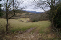 Le vallon sous les Clots de Gresat