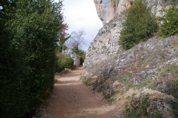 Le chemin sous les falaises montant au chteau de Roquefixade