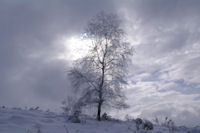 Belle ambiance en remontant vers l_orri de Sauvegarde