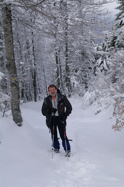 Fred  la sortie du bois