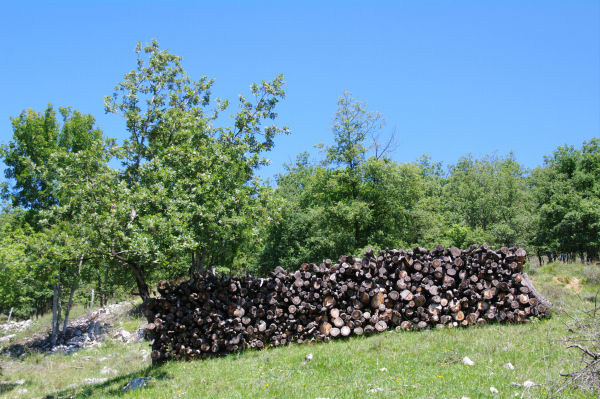 Pile de bois