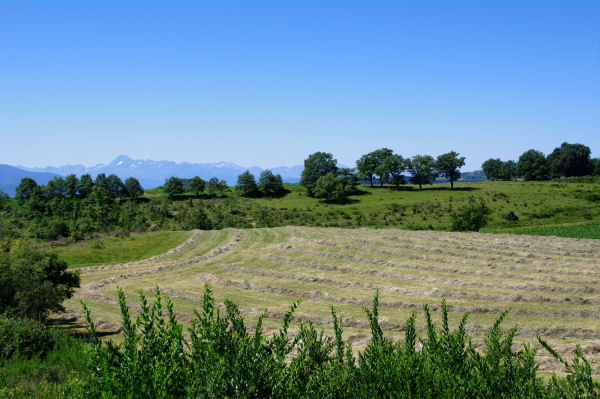 Depuis le Bois de la Fagette