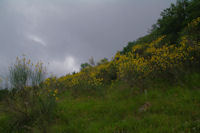 Le versant Sud du Tuc de Montcalibert