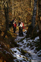 Le chemin entre le Col de Traucadou et Les Brougues