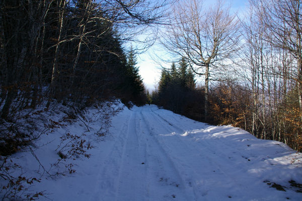 La route forestire de Font Frde enneige