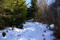 Le sentier enneig menant au Mont Fourcat