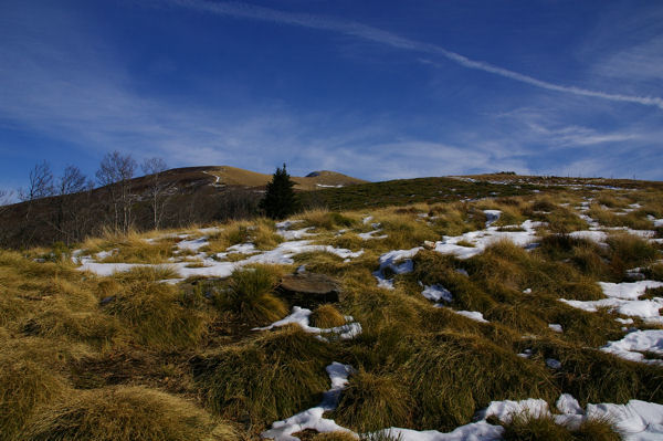 A l'horizon, le Pic de la Lauzate et le Mont Fourcat