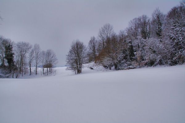 Joli champ de neige au Pech de Naut