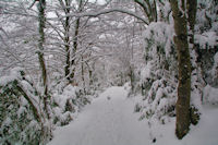 Le chemin descendant au Col de Porte Pa